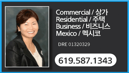 애나 리 부동산