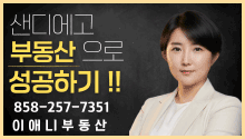 애니 이 부동산